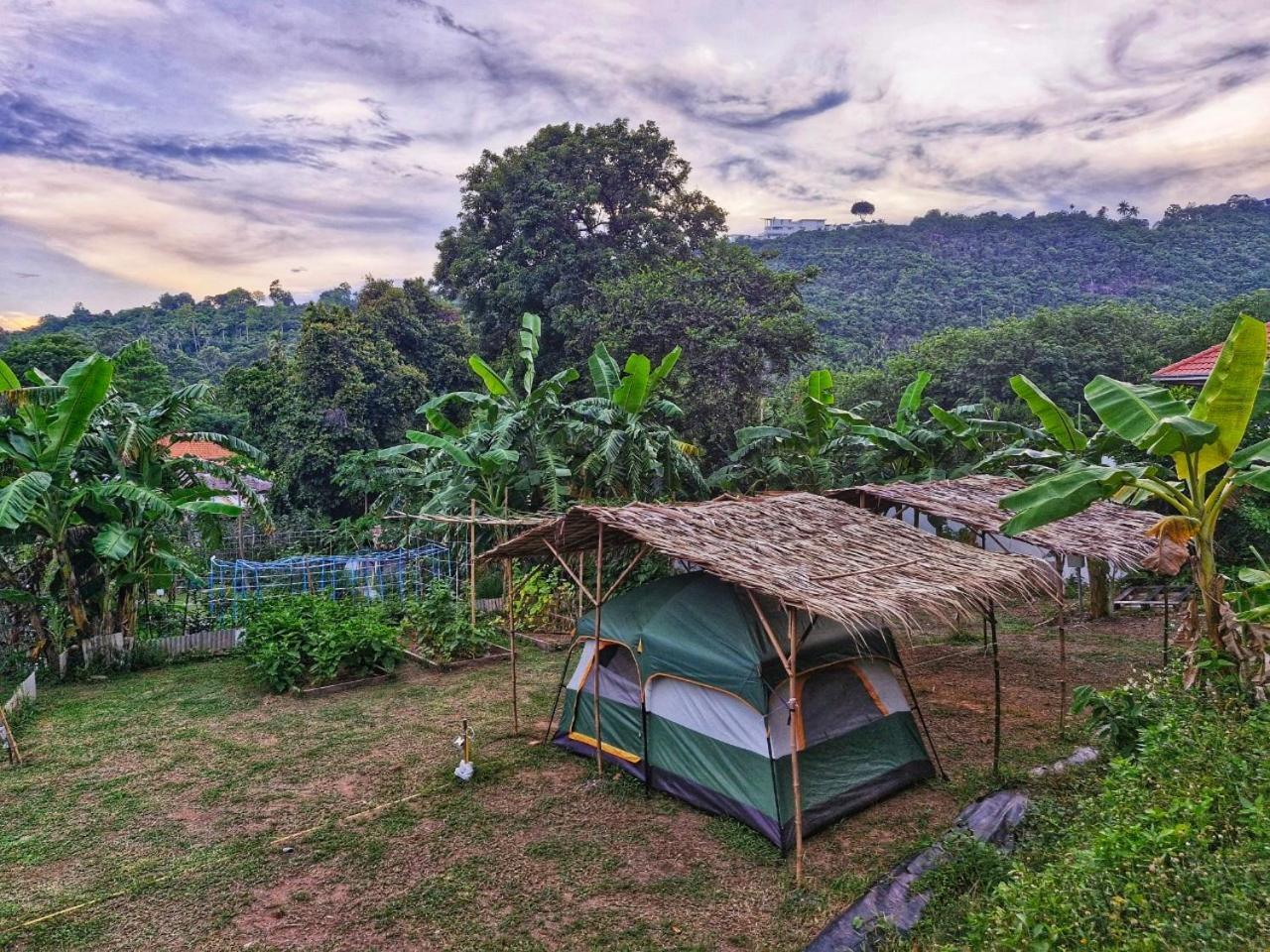 Samui Camping Farm Laem Sor Zewnętrze zdjęcie